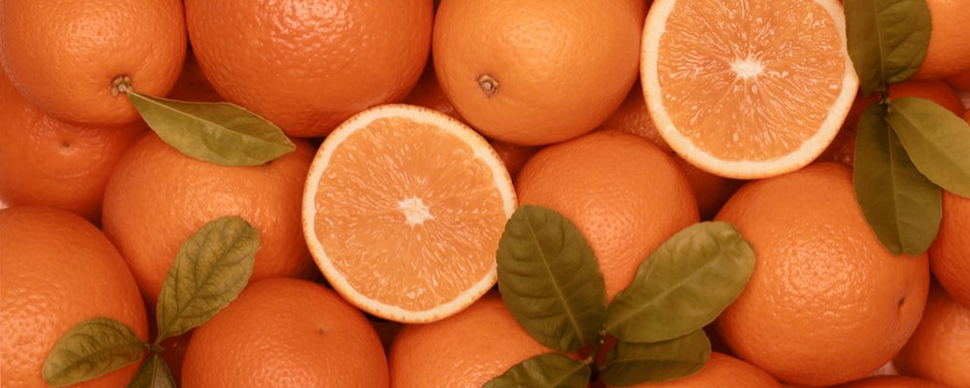 Adicione doses de Vitamina C na sua rotina