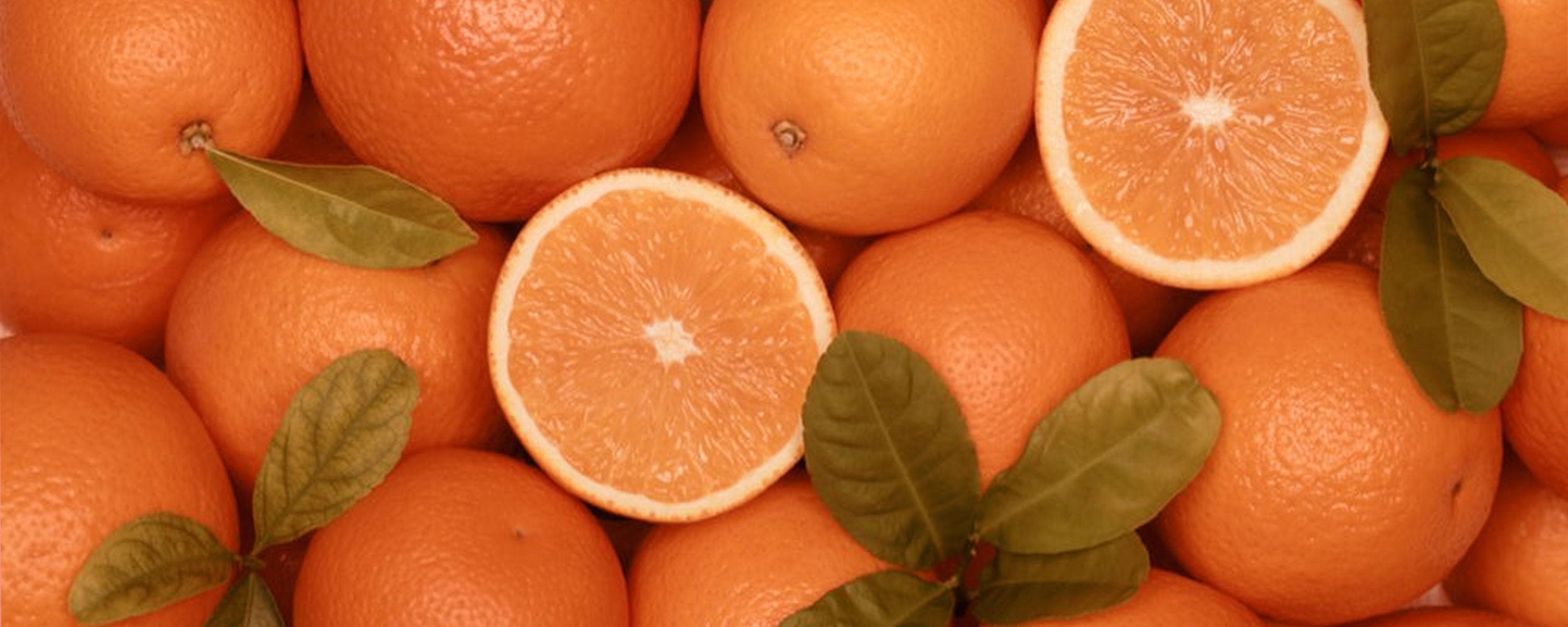 Adicione doses de Vitamina C na sua rotina